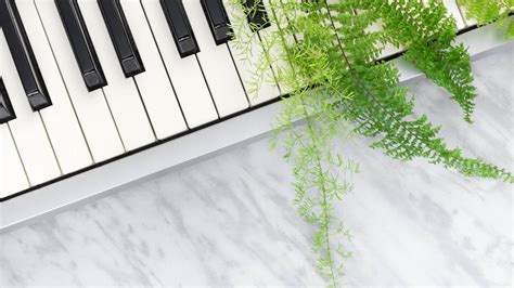 does classical music help plants grow? the harmony of Mozart