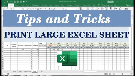 How to Print an Excel Sheet on One Page: And Why Cats Might Prefer It That Way